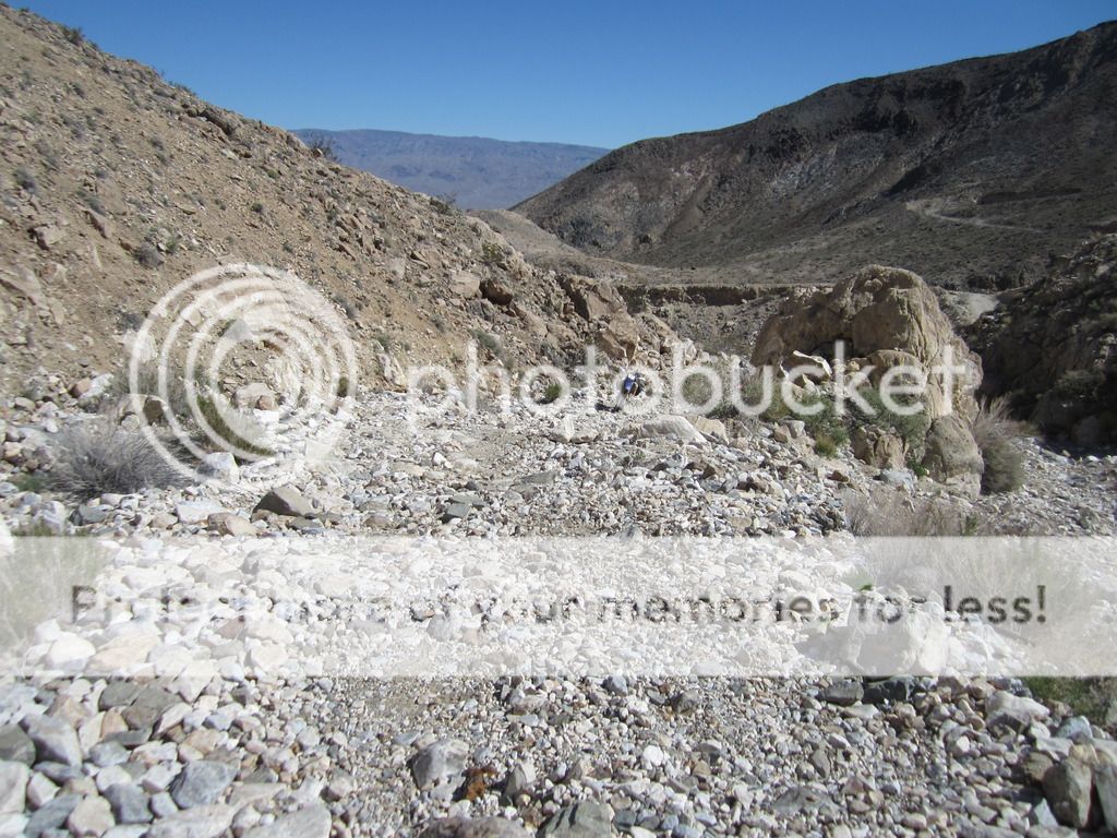 Finally - Death Valley Death%20Valley%20March%202015%20119_zpspmwolkhr