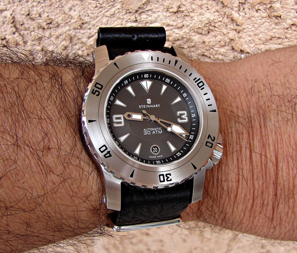 Watch-U-Wearing 11/21/11 Steinhart1