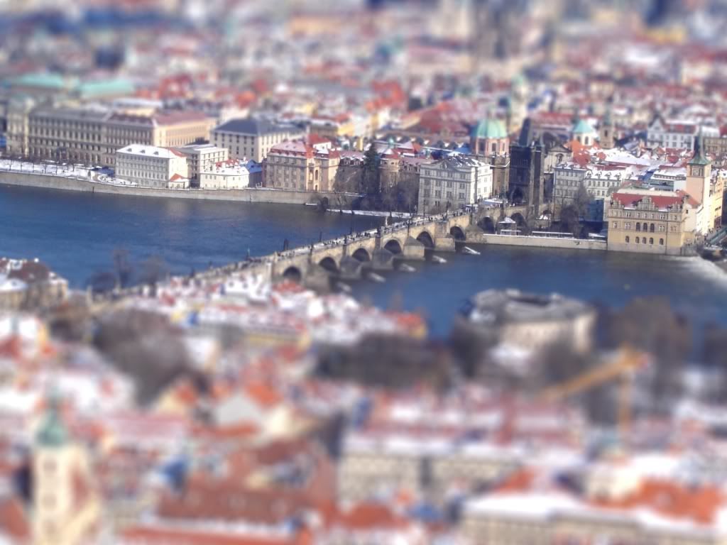 நான் ரசித்த அழகானவை 2 - Page 10 Tiltshiftprague2