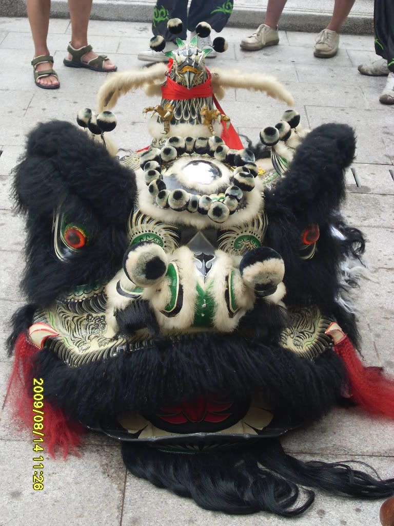 Nhìn gớm chưa SDC12499