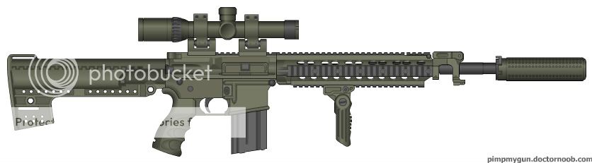 my dmr project Myweapon-1