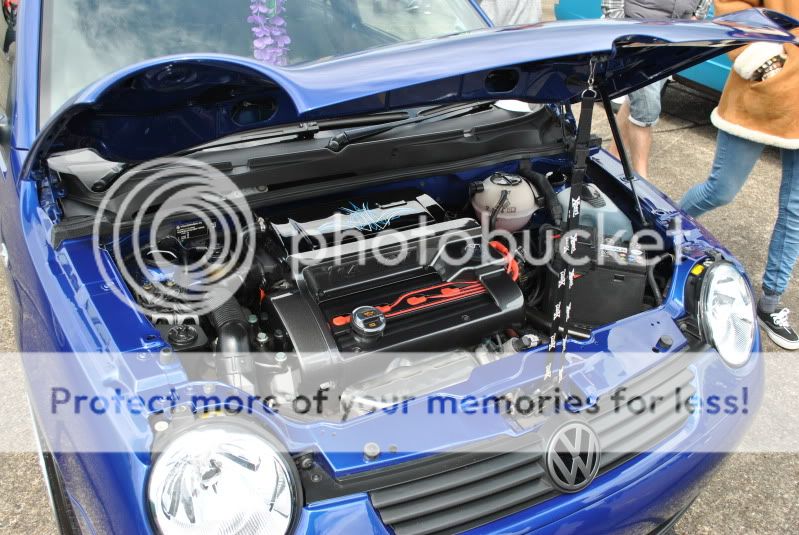 Ragtop lupo (boot build) - Page 3 DSC_1093