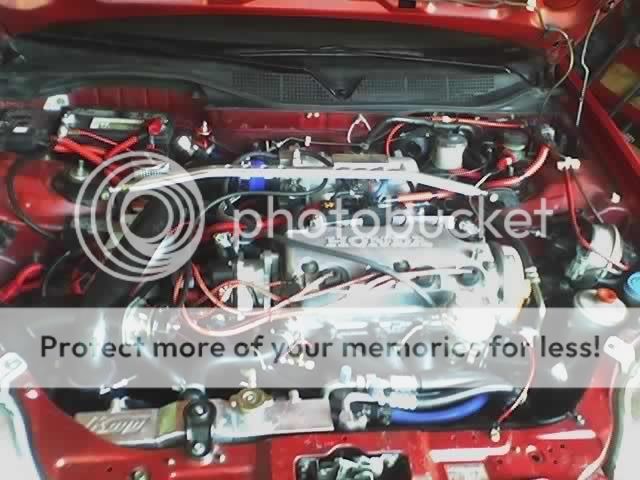 Our Toys....... D16z6_Engine_Bay