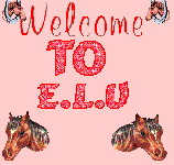E.L.U Equine Lovers Unite