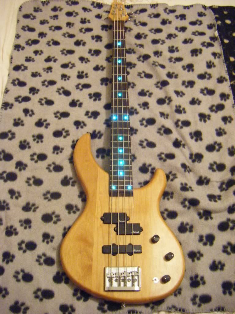 My Guitar/Bass Collection Aria_Integrajpg