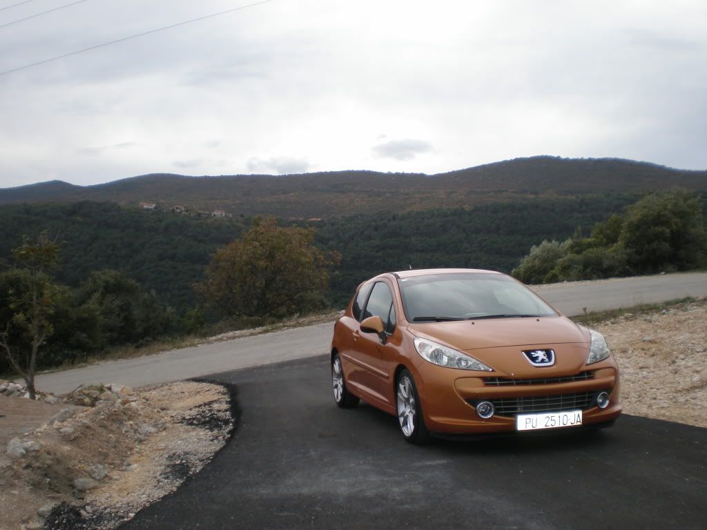 (207) Peugeot 207 PA260112