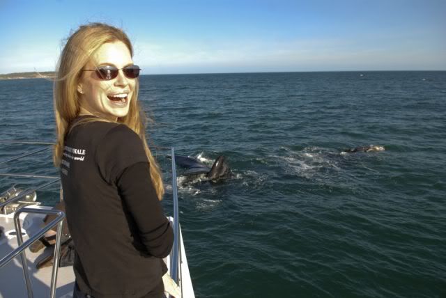 Having a whale of a time with Kristin Bauer van Straten K107