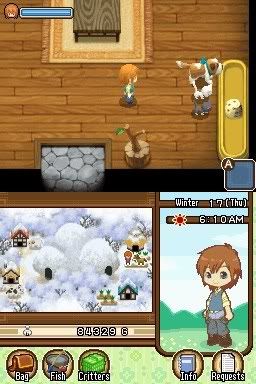 [nds] Harvest Moon: The Tale of Two Towns  976815_20110608_screen001