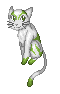 Kaabii's Sprites Femaleleafforestcat