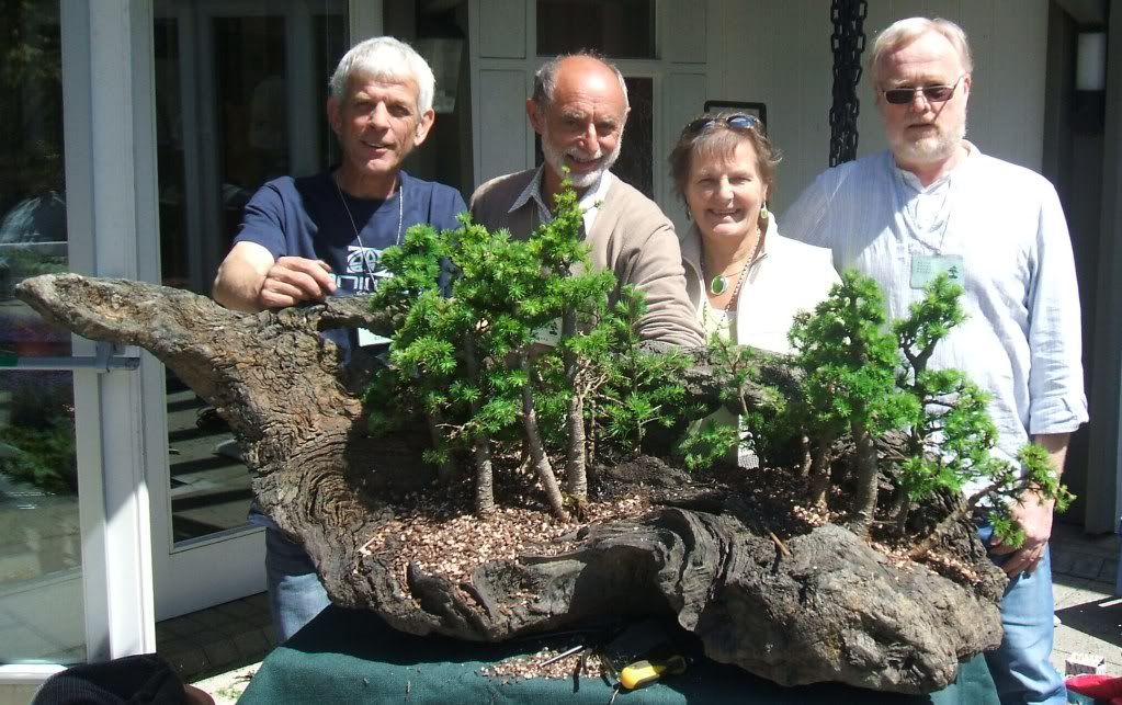 larch group planted in bogwood DSCF1568