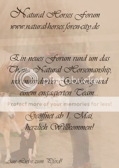 Natural Horses- Aus Liebe zum Pferd! Flyer