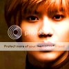 Avis Katiiuskosos (?) Taemin1