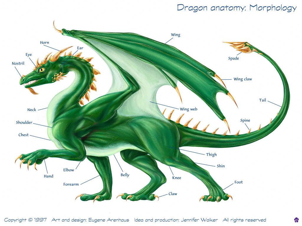 Dragons 101 Finalskin