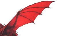 Dragons 101 Wing