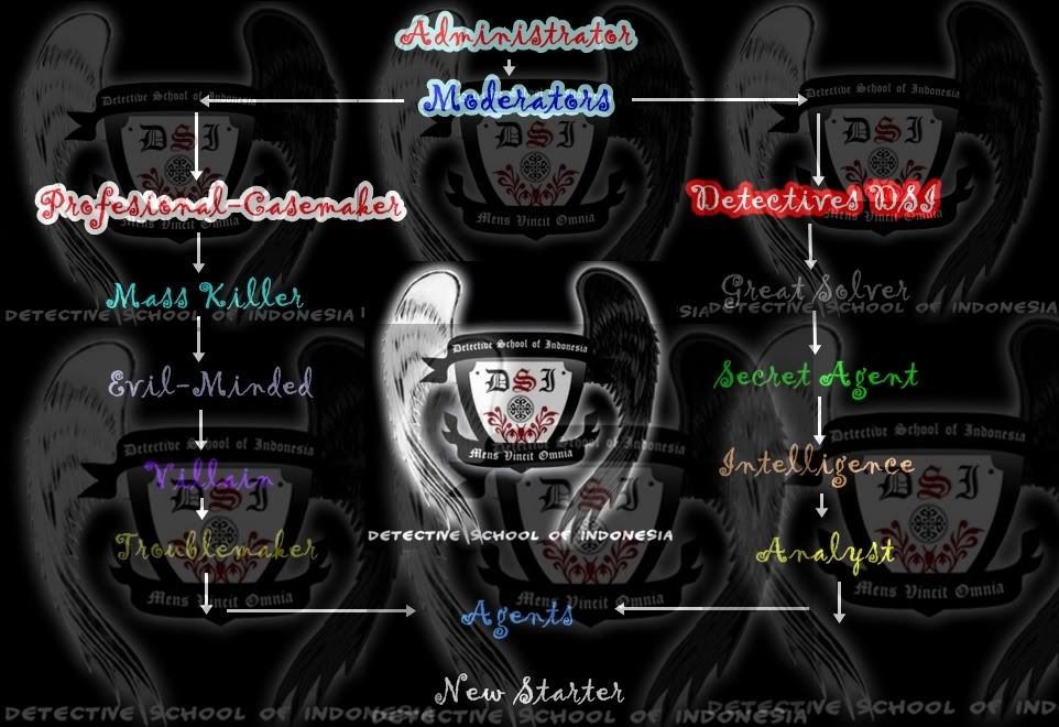 Structure Of DSI 2010 1-3