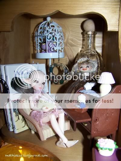 Mes Tiny Elfdoll : Olivia et Sylp. [Petites photos p.3 ] - Page 3 100_9545