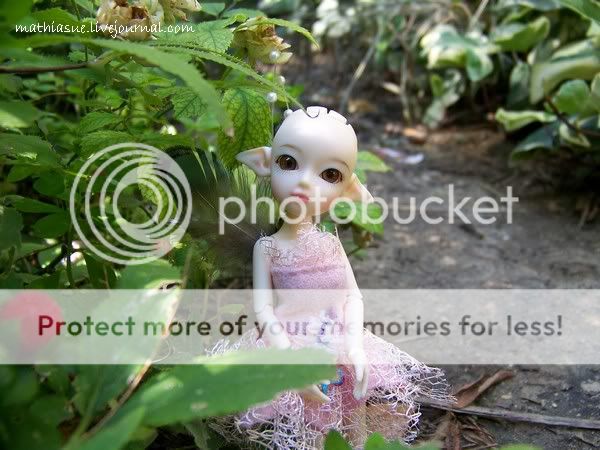 Mes Tiny Elfdoll : Olivia et Sylp. [Petites photos p.3 ] - Page 3 Photo560