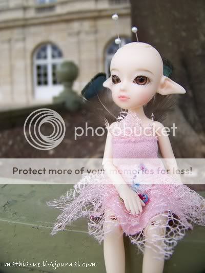 Mes Tiny Elfdoll : Olivia et Sylp. [Petites photos p.3 ] - Page 3 Photo574