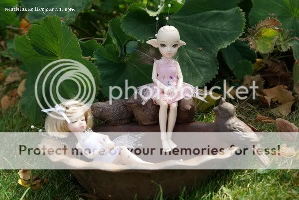 Mes Tiny Elfdoll : Olivia et Sylp. [Petites photos p.3 ] Mangeoireaoisea1_ux