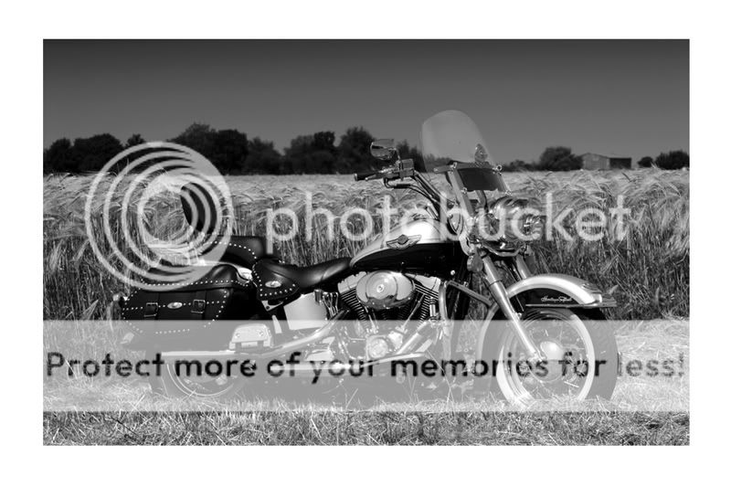 Artemis Elyon Black HARLEY_DAVIDSON_BW_by_jim100bg