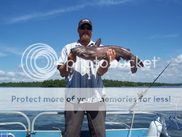 Santee  Cooper Catfish. 1SanteeCooperRusty5-26-07