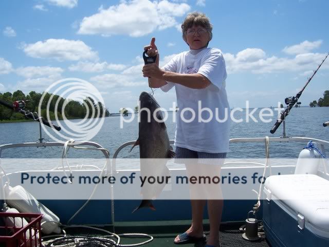 Santee  Cooper Catfish. 2SanteeCooperLinda5-26-07