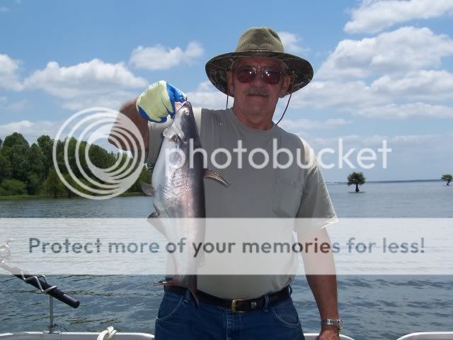 Santee  Cooper Catfish. SanteeCooperAce5-26-07