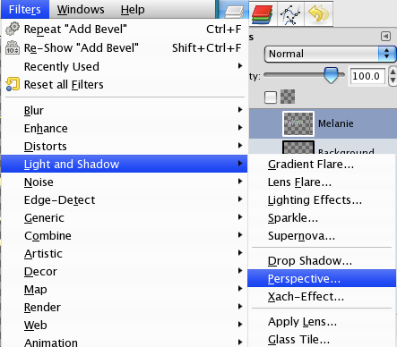 How to add a perspective using gimp! Screenshot2010-06-02at122632PM
