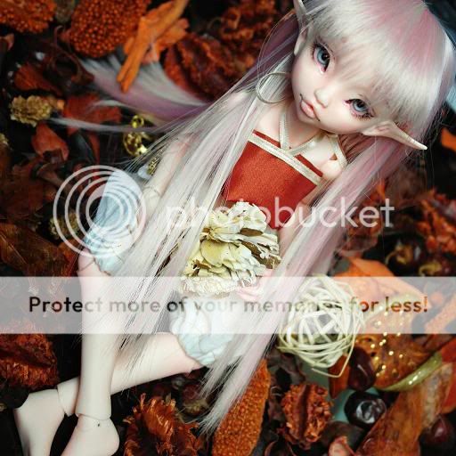 [ NobleDoll Rhubarbe] nouvelles photos p 4 bas Pixie061