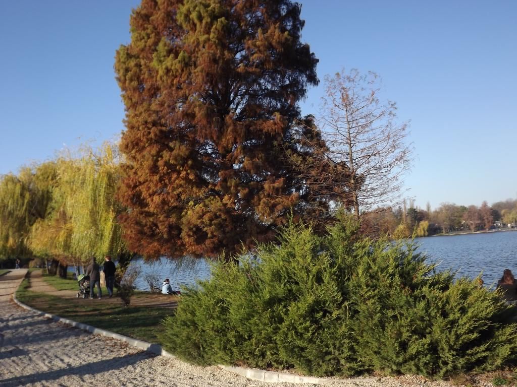 PARCUL HERASTRAU -- BUCURESTI - Pagina 13 H12_zpsa4fee59d