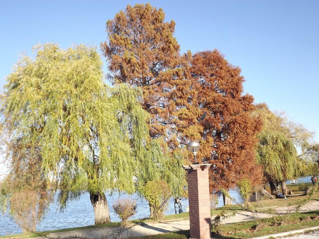 PARCUL HERASTRAU -- BUCURESTI - Pagina 13 H14_zps853d120e