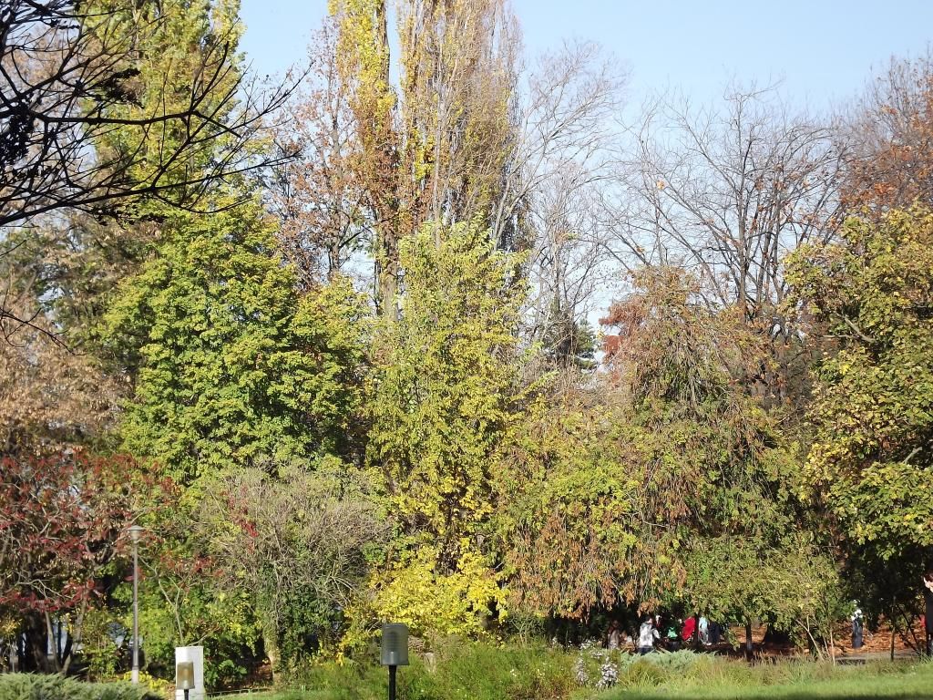 PARCUL HERASTRAU -- BUCURESTI - Pagina 13 H19_zps303c2fd7