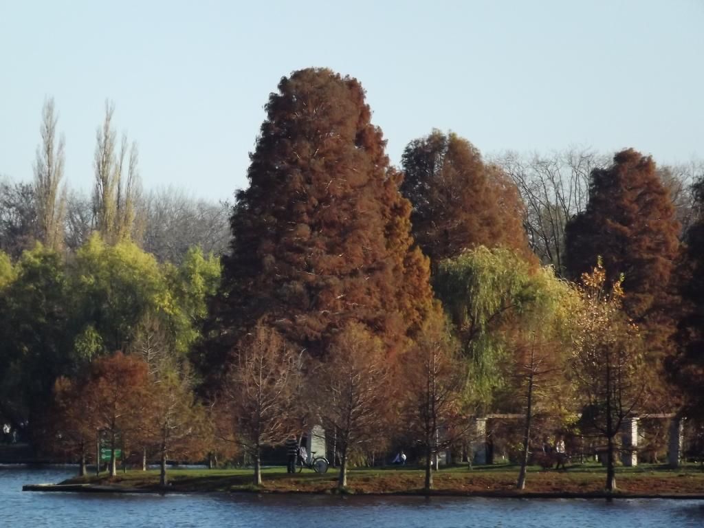 PARCUL HERASTRAU -- BUCURESTI - Pagina 13 H1_zpsd21b08bf