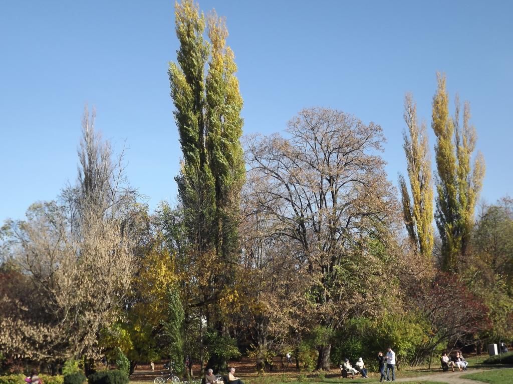 PARCUL HERASTRAU -- BUCURESTI - Pagina 13 H23_zpsf7bf9aff