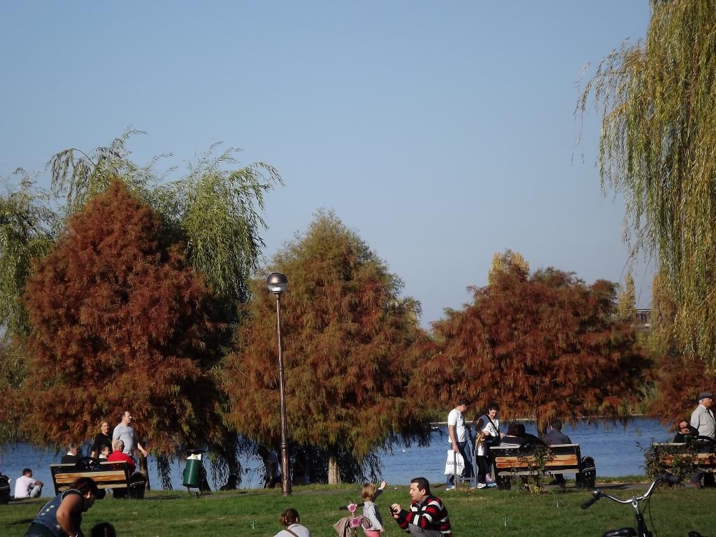 PARCUL HERASTRAU -- BUCURESTI - Pagina 13 H26_zps8bcb7d48