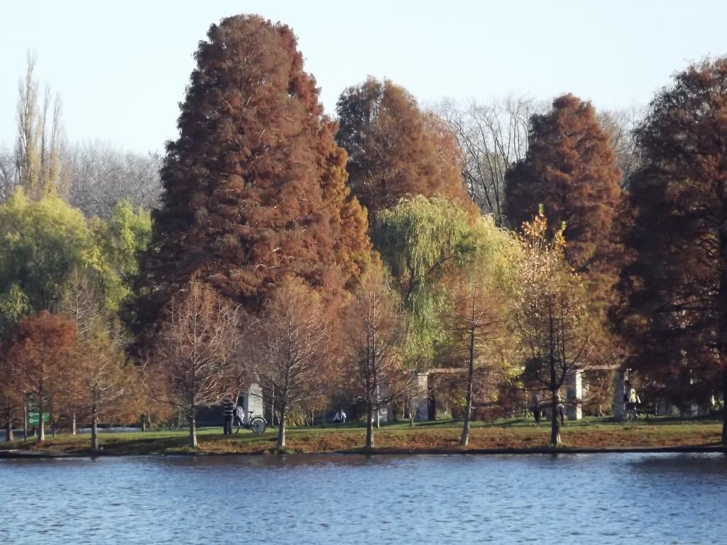 PARCUL HERASTRAU -- BUCURESTI - Pagina 13 H2_zps4d721ab0