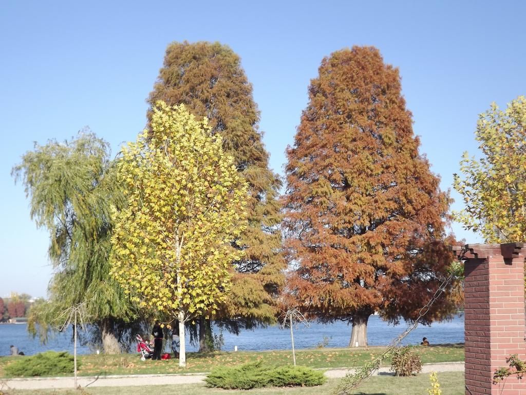 PARCUL HERASTRAU -- BUCURESTI - Pagina 13 H35_zpsb647c43d