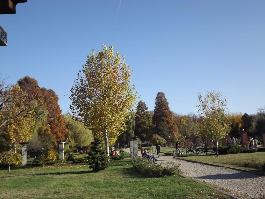 PARCUL HERASTRAU -- BUCURESTI - Pagina 13 H39_zpsf8bd904e