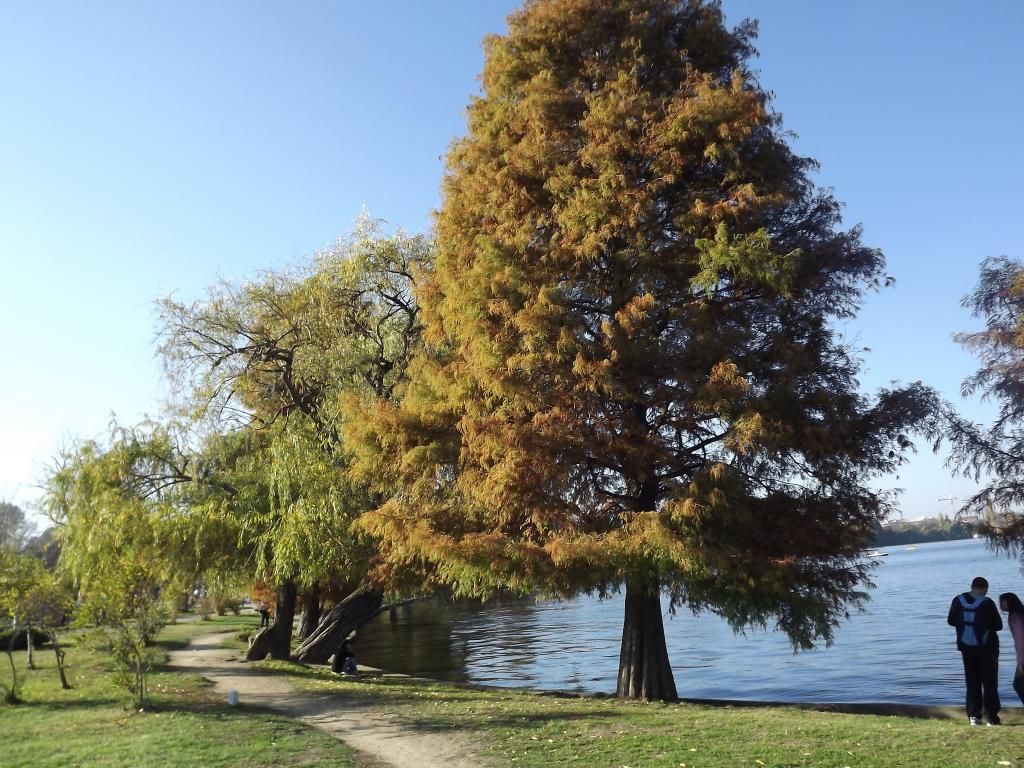 PARCUL HERASTRAU -- BUCURESTI - Pagina 13 H42_zpsfb4d2a04