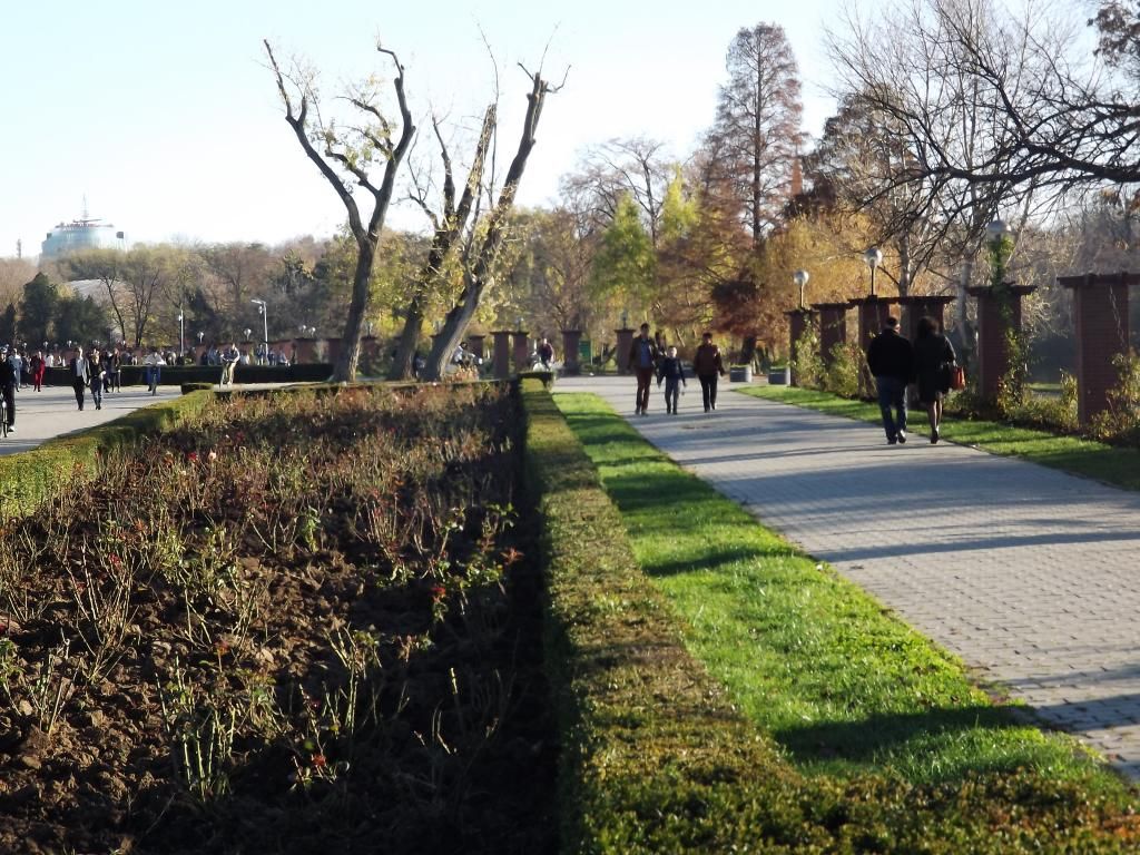 PARCUL HERASTRAU -- BUCURESTI - Pagina 13 H4_zps35f303b5