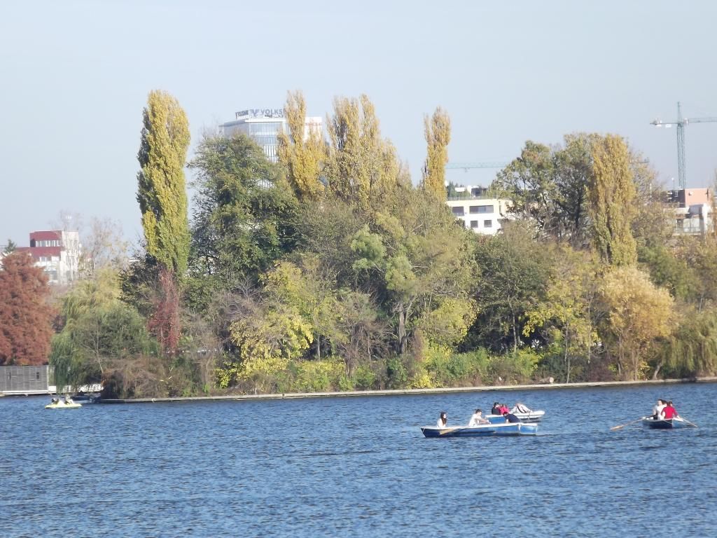 LACUL HERASTRAU DIN BUCURESTI - Pagina 5 L15_zpscc2b276a