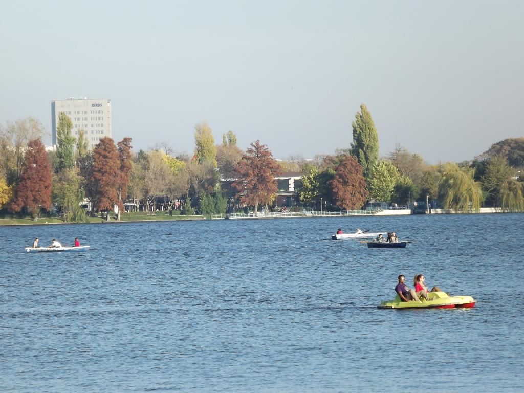 LACUL HERASTRAU DIN BUCURESTI - Pagina 5 L23_zps8c27fdbf