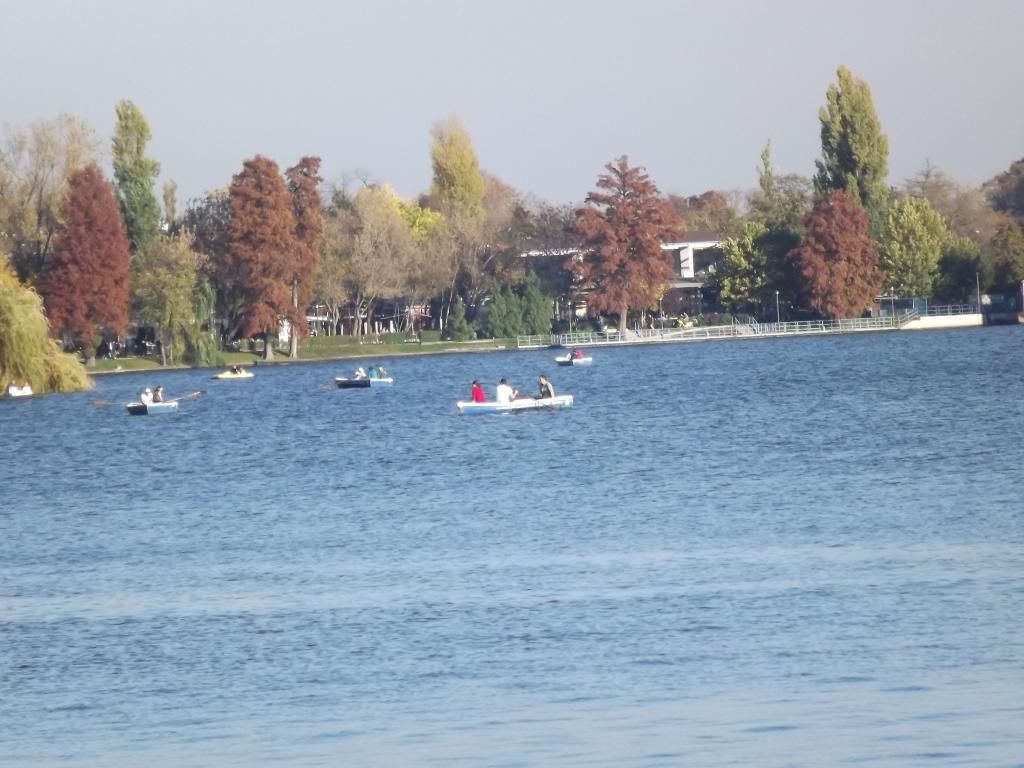 LACUL HERASTRAU DIN BUCURESTI - Pagina 5 L28_zps1ee5a124