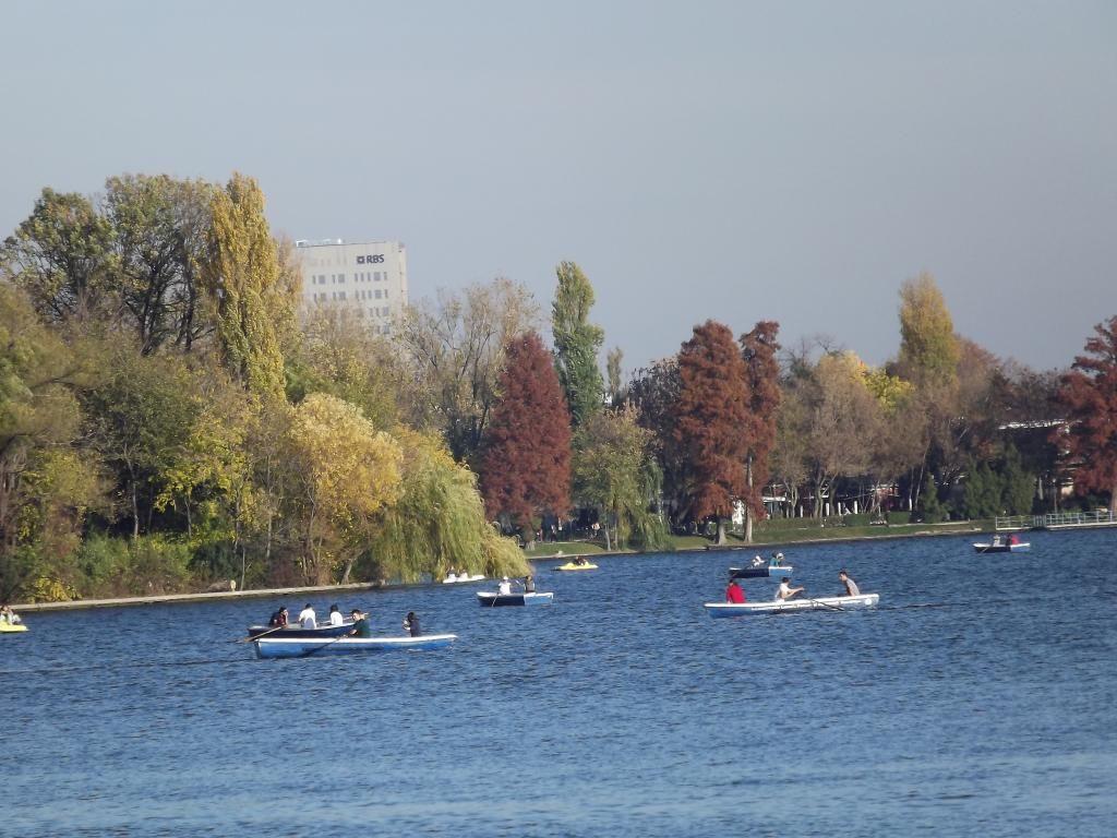 LACUL HERASTRAU DIN BUCURESTI - Pagina 5 L30_zps10b18afc