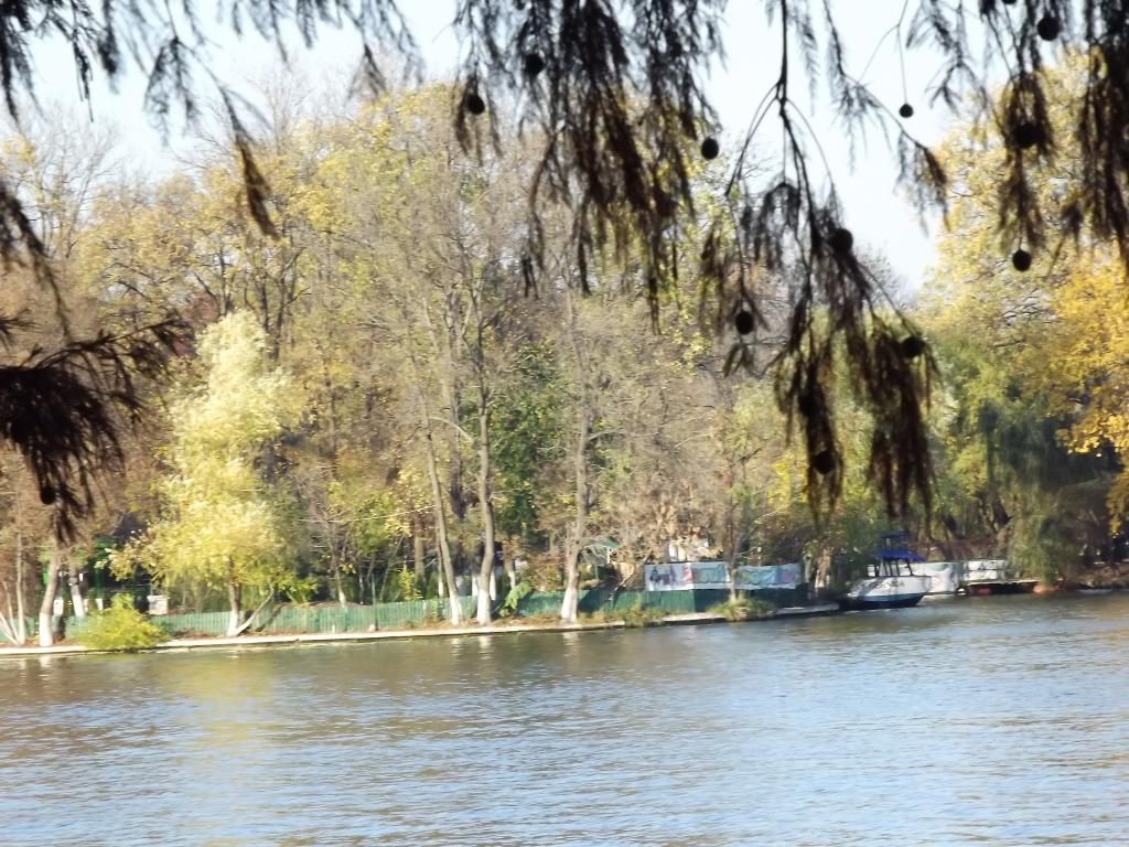 PARCUL HERASTRAU -- BUCURESTI - Pagina 13 L44_zpsf9e795e8