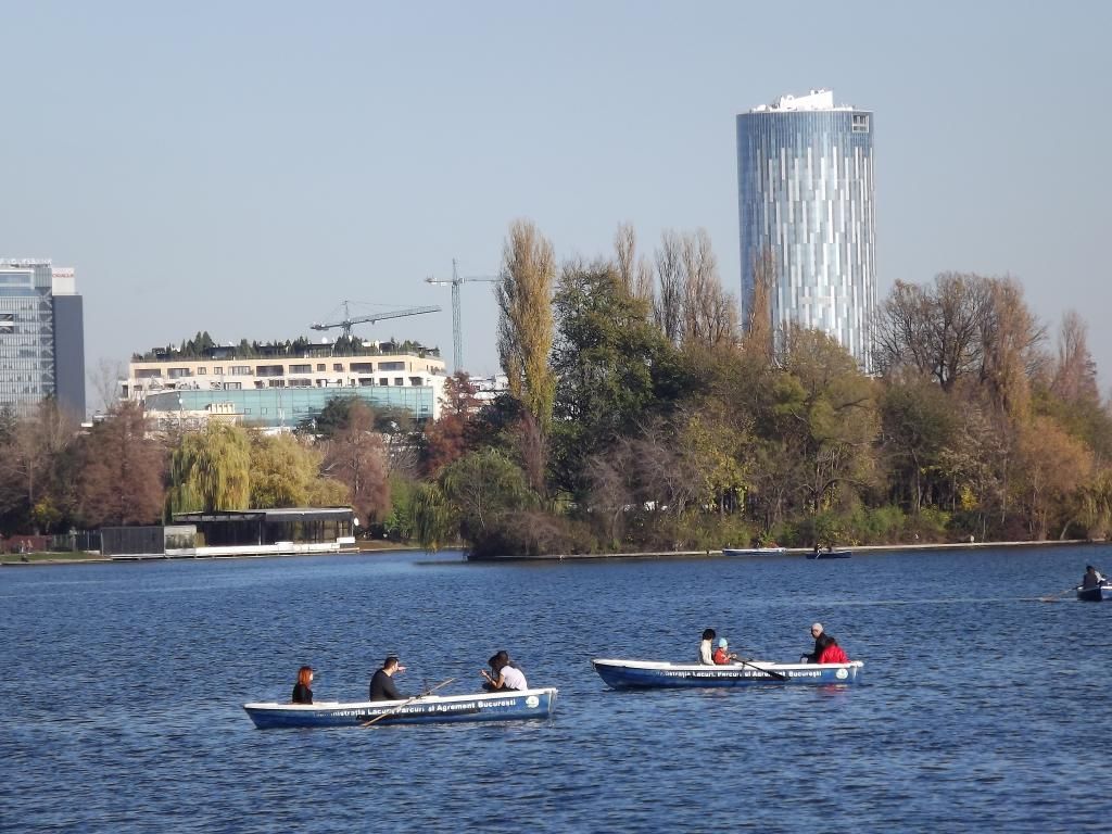 LACUL HERASTRAU DIN BUCURESTI - Pagina 5 LH2_zps6f801734