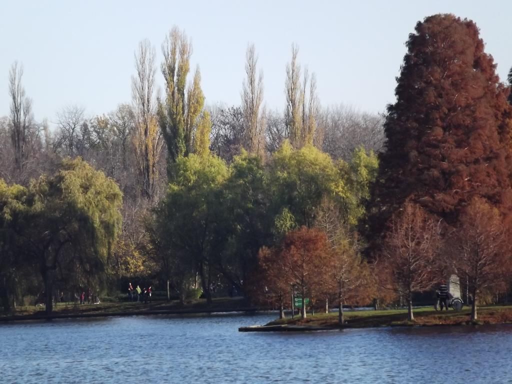 PARCUL HERASTRAU -- BUCURESTI - Pagina 13 LH3_zps0e9249bd