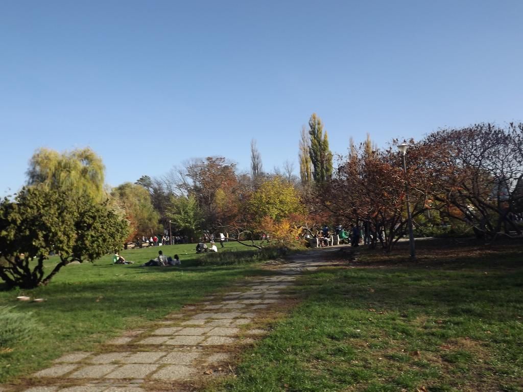 PARCUL HERASTRAU -- BUCURESTI - Pagina 13 SH28_zps69604207