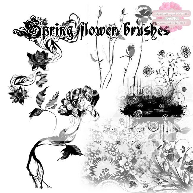 ◄100 فــ Floral Brushes ـــرش ● زهـــور ● LFfb05