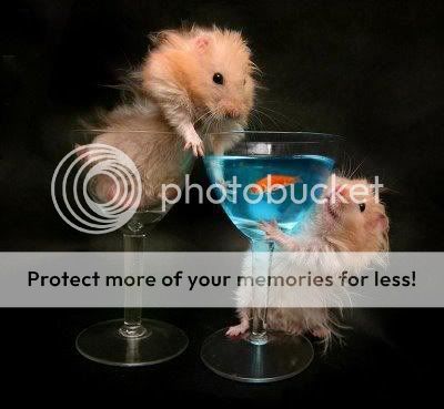 موسوعه صور غريبه جدا 2010  ----hamster-mouse----funny-animals-